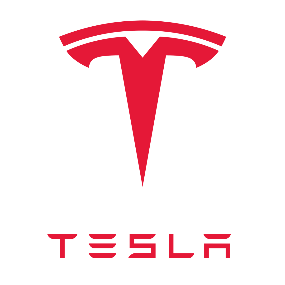 Tesla Ecd Investment